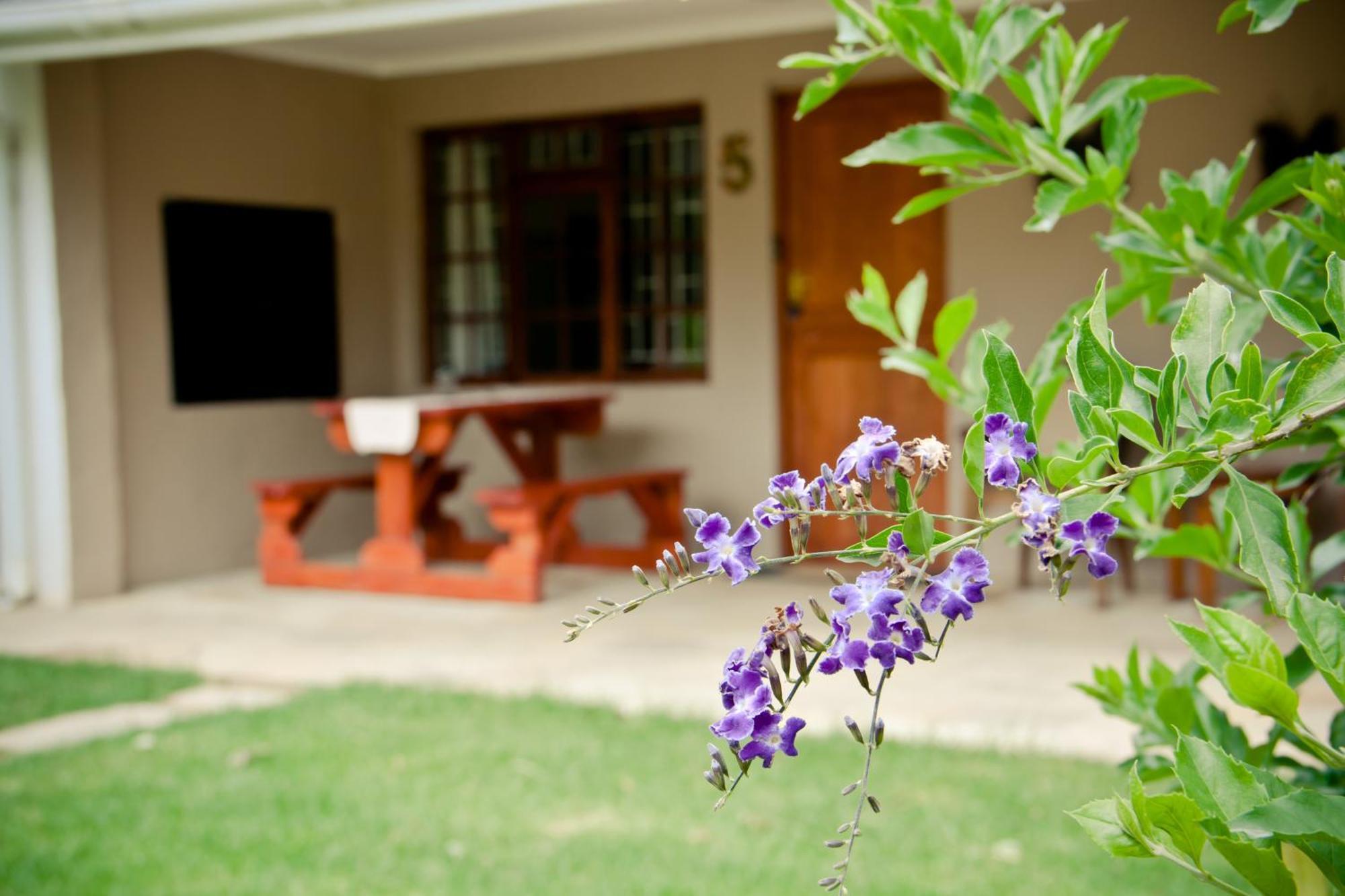 Villa De Old Drift Guest Farm Addo Camera foto