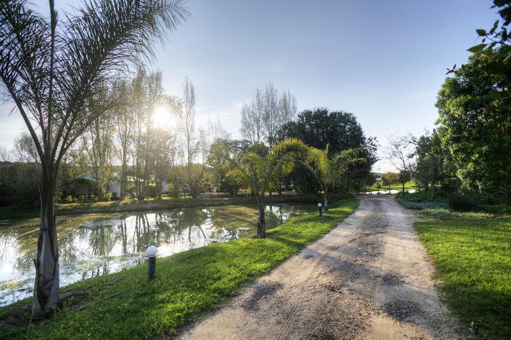 Villa De Old Drift Guest Farm Addo Esterno foto