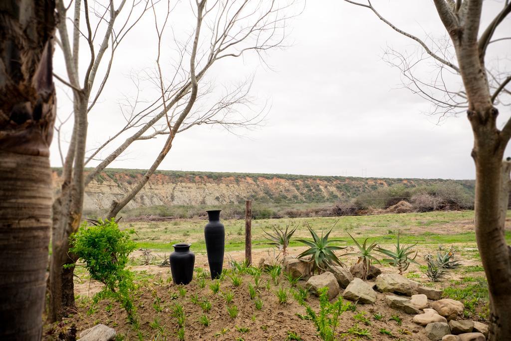 Villa De Old Drift Guest Farm Addo Esterno foto