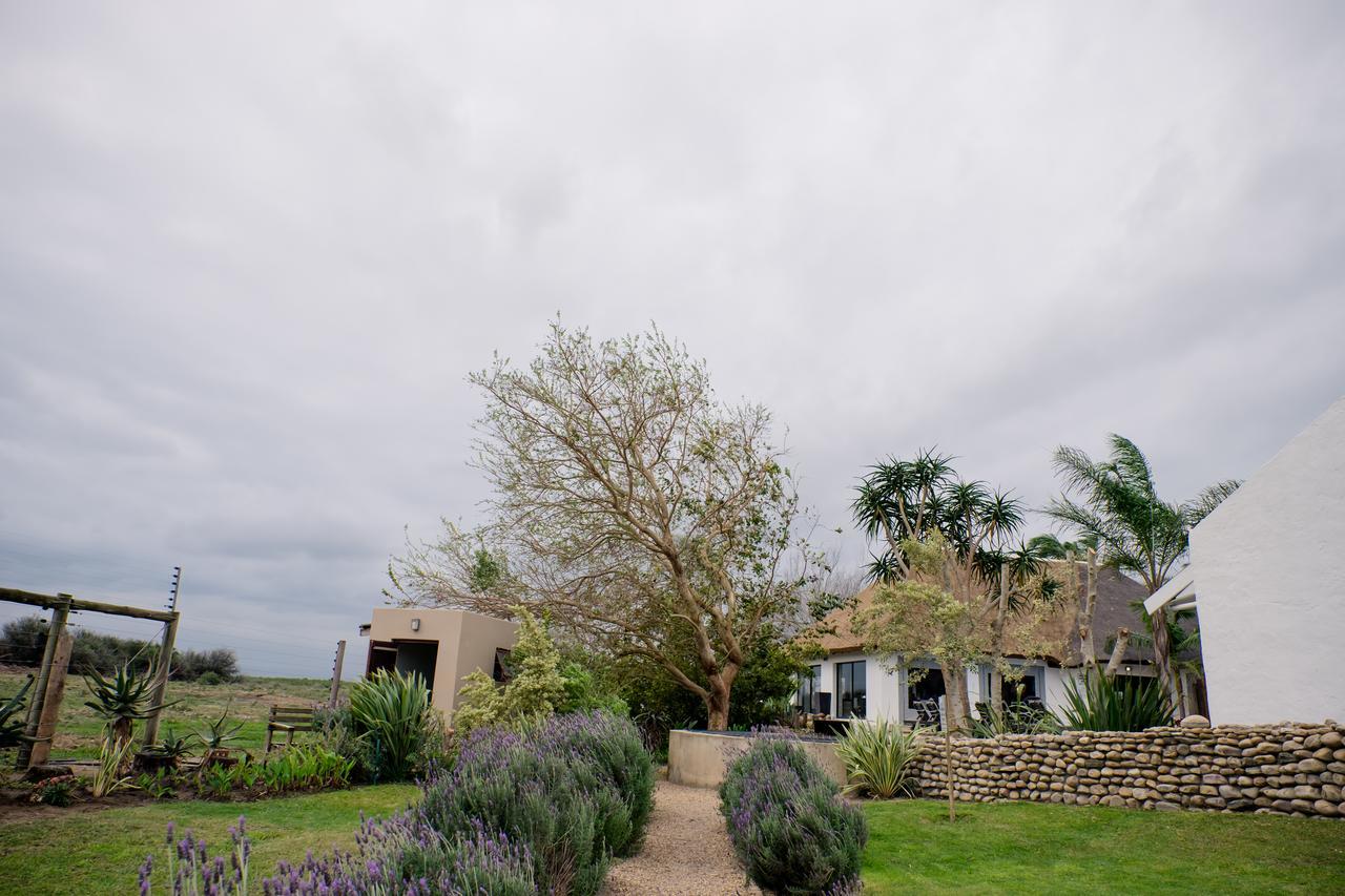 Villa De Old Drift Guest Farm Addo Esterno foto